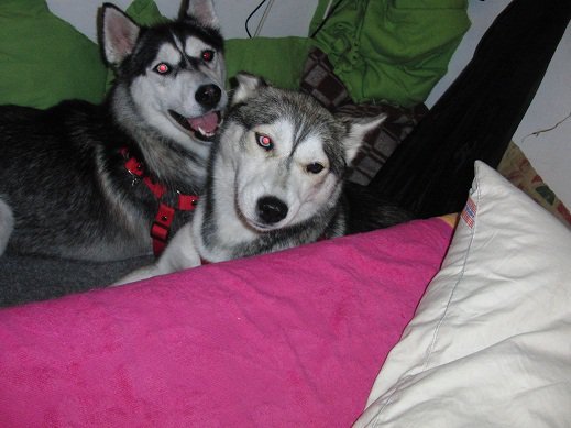 Nina i Kalina Nina i Kalina