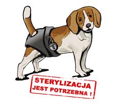 Nie rozmnażajmy zwierząt!