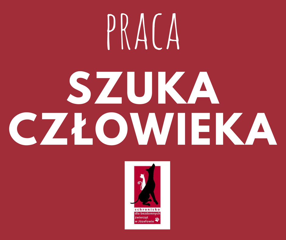 Praca!